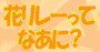 花リレーってなあに？